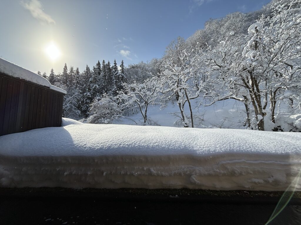 山人の朝