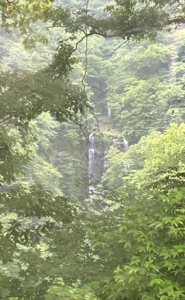 FOR2ギフト（BROWN）をいただいたので山奥の秘湯でステイコース（八丁の湯）を選んだら大冒険だった②